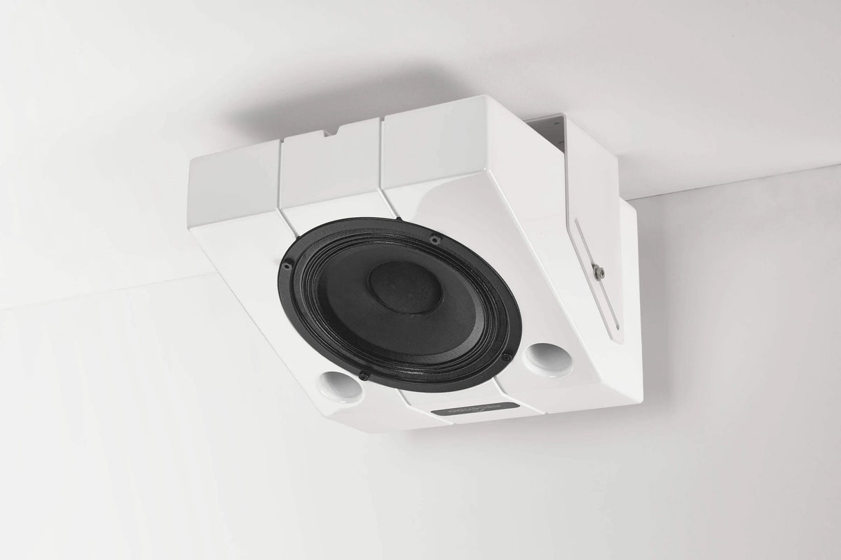 The 6 Wedge Passive On-Wall / On-Ceiling Loudspeaker