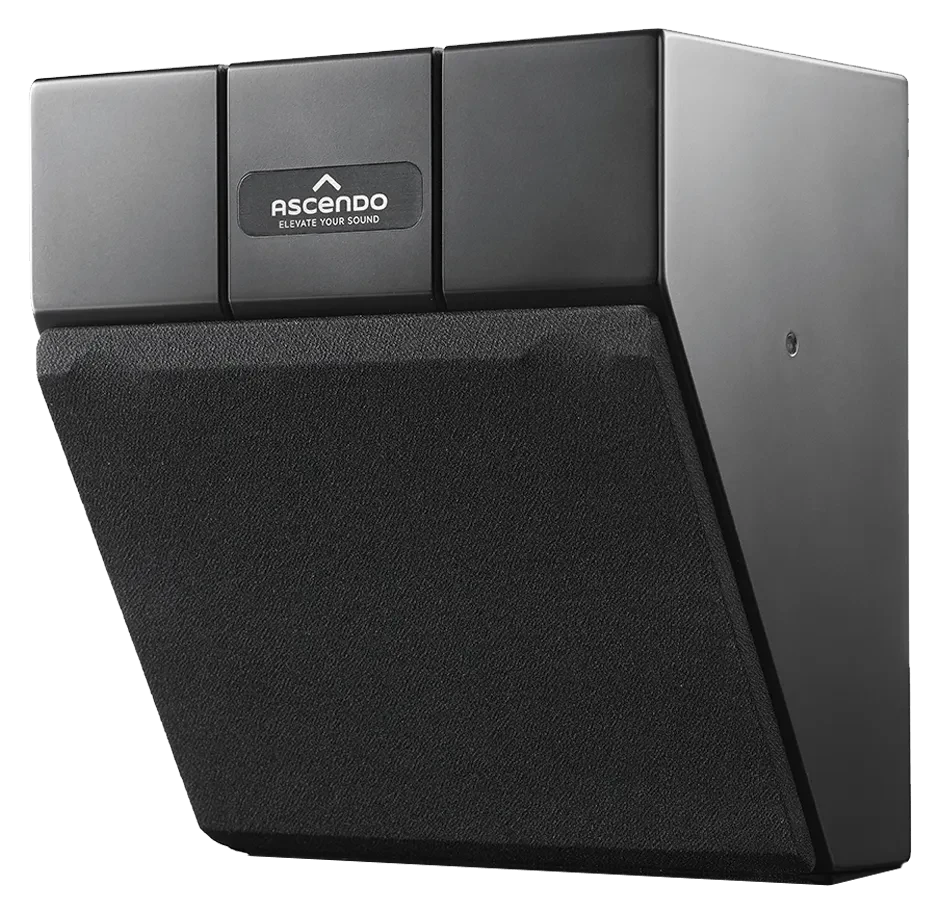 The 6 Wedge Passive On-Wall / On-Ceiling Loudspeaker