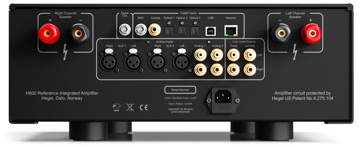 H600 Roon Ready Stereo Amplifier - image 3
