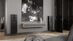 FR-2 Loudspeaker - image 3