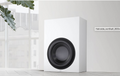 BW-2 Boundary Subwoofer inc New "Gabrielle" Grille