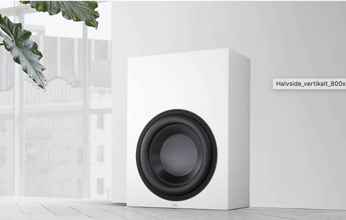 BW-2 Boundary Subwoofer inc New "Gabrielle" Grille
