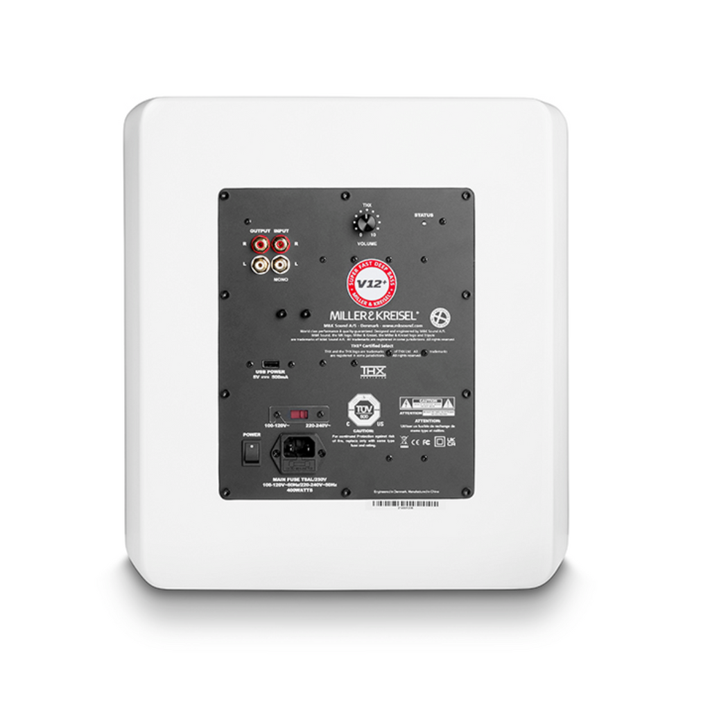 V10+ Subwoofer - image 7