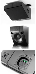 The10 Passive Wedge On-Wall / On-Ceiling Loudspeaker