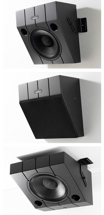 The10 Passive Wedge On-Wall / On-Ceiling Loudspeaker - image 3