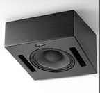 The12 Pro Passive Wedge On-Wall Loudspeaker - image 2