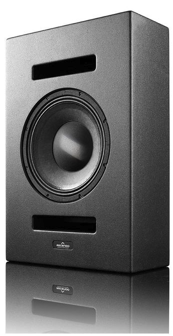 The12 BE Pro Passive On-Wall Loudspeaker